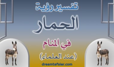 تفسير رؤية الحمار في المنام (عند العلماء)