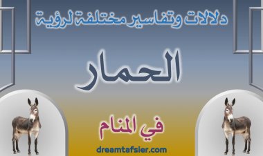 دلالات وتفاسير مختلفة لرؤية الحمار في المنام