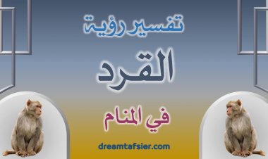 تفسير رؤية القرد في المنام
