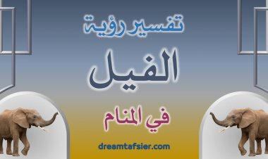 تفسير رؤية الفيل في المنام