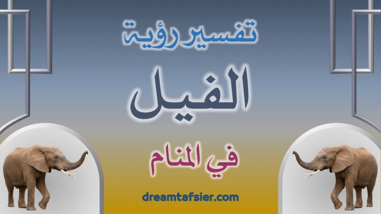 تفسير رؤية الفيل في المنام