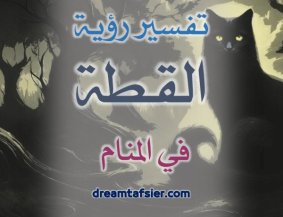 تفسيرُ رؤيةِ القِطَّةِ في المنامِ