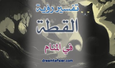 تفسيرُ رؤيةِ القِطَّةِ في المنامِ