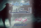 تفسيرُ رؤيةِ الكلبِ في المنامِ