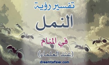تفسير رؤية النَّمل في المنام عند العلماء