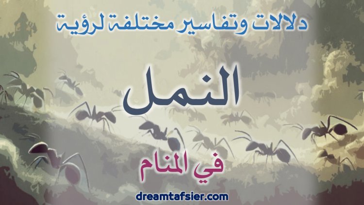 دلالات وتفاسير مختلفة لرؤية النَّمل في المنام