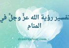 تفسير رؤية الله تعالى في المنام