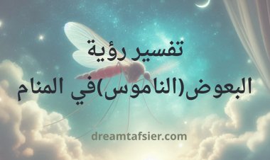 تفسير رؤية البعوض( الناموس) في المنام