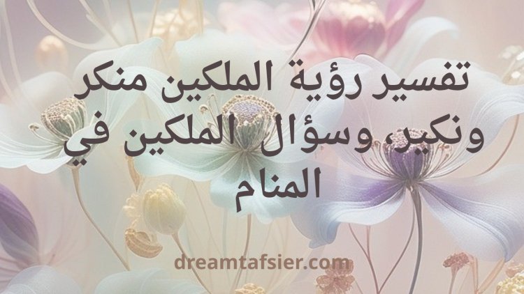 تفسير رؤية الملكين منكر ونكير وسؤال الملكين في المنام