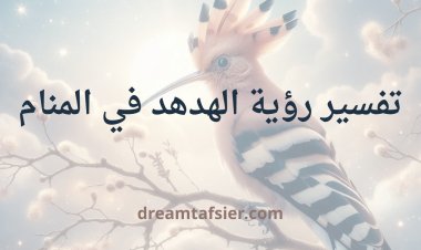 تفسير رؤية  الهدهد في المنام