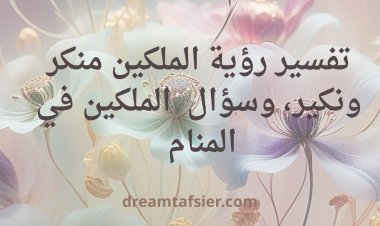 تفسير رؤية الملكين منكر ونكير وسؤال الملكين في المنام