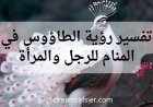 تفسير رؤية الطاووس في المنام للعزباء والمتزوجة والحامل والمطلقة والرجل