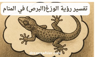 تفسير رؤية الوزغ"البرص" في المنام