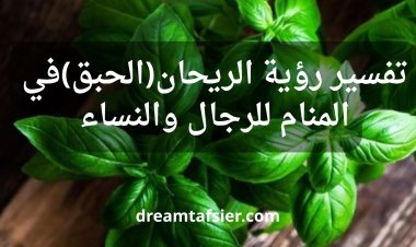 تفسير رؤية الريحان(الحبق) في المنام للرجال والنساء