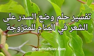 تفسير حلم وضع السدر على الشعر في المنام للمتزوجة