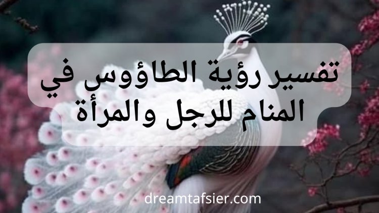 تفسير رؤية الطاووس في المنام للعزباء والمتزوجة والحامل والمطلقة والرجل