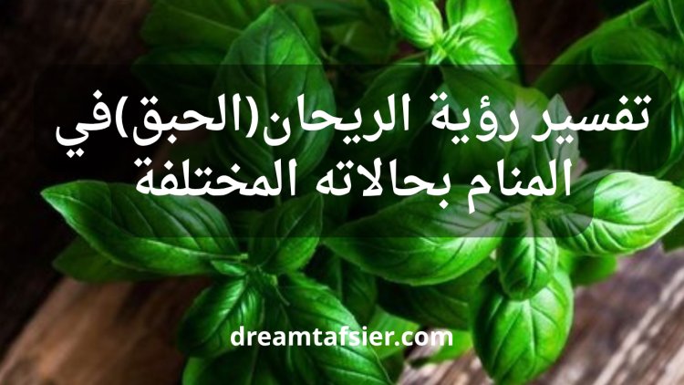 تفسير رؤية الحبق (الريحان) في المنام بجميع حالاته: الأخضر، البذور، الزراعة، الشجرة، والرائحة