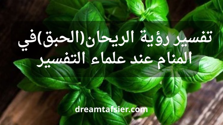 تفسير رؤية الريحان(الحبق) في المنام عند علماء التفسير