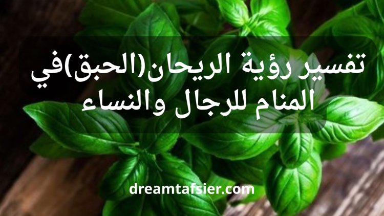 تفسير رؤية الريحان(الحبق) في المنام للرجال والنساء