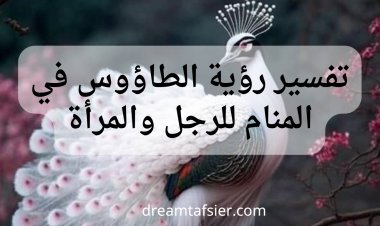 تفسير رؤية الطاووس في المنام للعزباء والمتزوجة والحامل والمطلقة والرجل