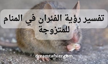 تفسير رؤية الفأر في المنام للمتزوجة