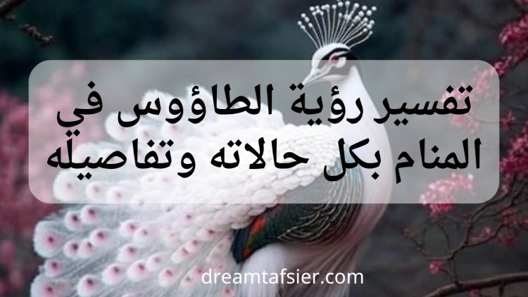 تفسير رؤية الطاووس في المنام بكل حالاته وتفاصيله