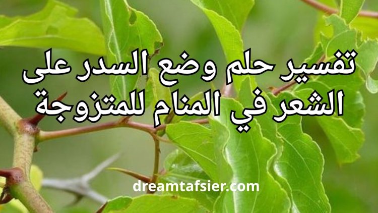 تفسير حلم وضع السدر على الشعر في المنام للمتزوجة