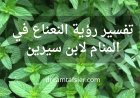 تفسير رؤية النعناع في المنام لابن سيرين