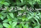 تفسير رؤية النعناع في المنام للرجل بالتفصيل