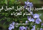 تفسير رؤية إكليل الجبل(الروزماري) في المنام للعزباء