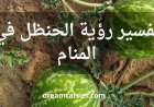 تفسير رؤية الحنظل في المنام لابن سيرين والنابلسي
