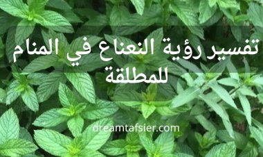 تفسير رؤية النعناع في المنام للمطلقة بالتفصيل
