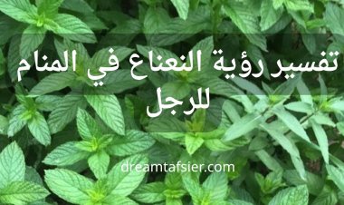 تفسير رؤية النعناع في المنام للرجل بالتفصيل