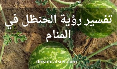 تفسير رؤية الحنظل في المنام لابن سيرين والنابلسي