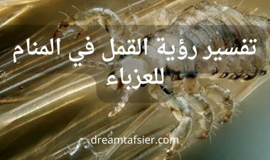 رؤية القمل في المنام للعزباء: التفسير الكامل والدلالات النفسية والاجتماعية