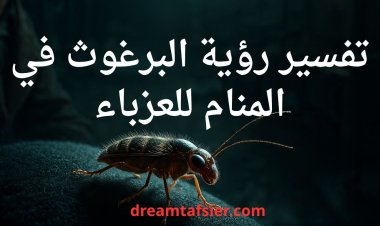 تفسير رؤية البرغوث في المنام للعزباء