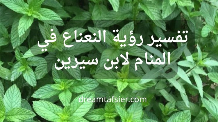 تفسير رؤية النعناع في المنام لابن سيرين