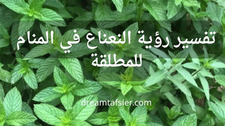 تفسير رؤية النعناع في المنام للمطلقة بالتفصيل