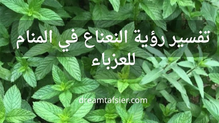 تفسير رؤية النعناع في المنام للعزباء