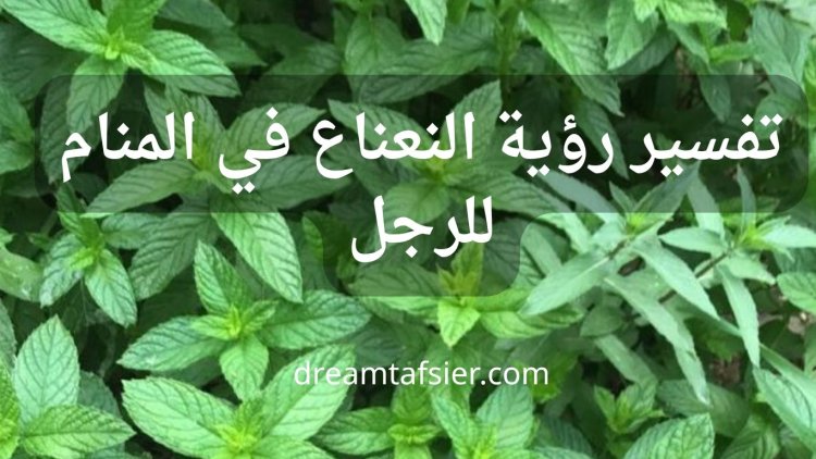 تفسير رؤية النعناع في المنام للرجل بالتفصيل
