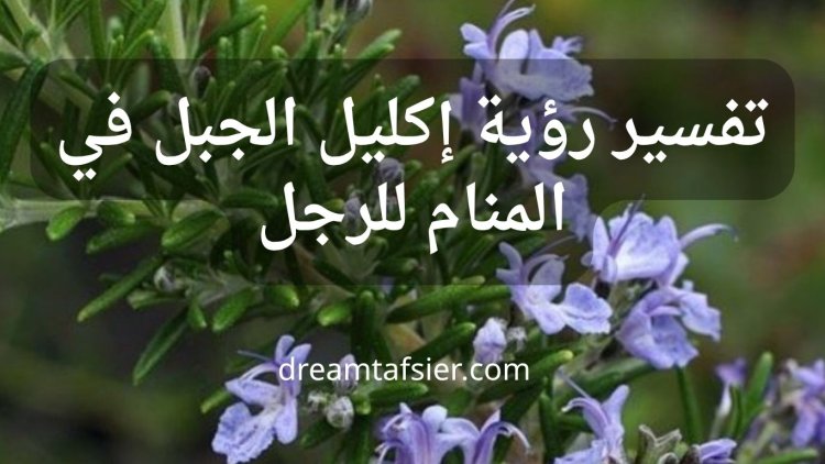 تفسير رؤية إكليل الجبل(الروزماري)في المنام للرجل