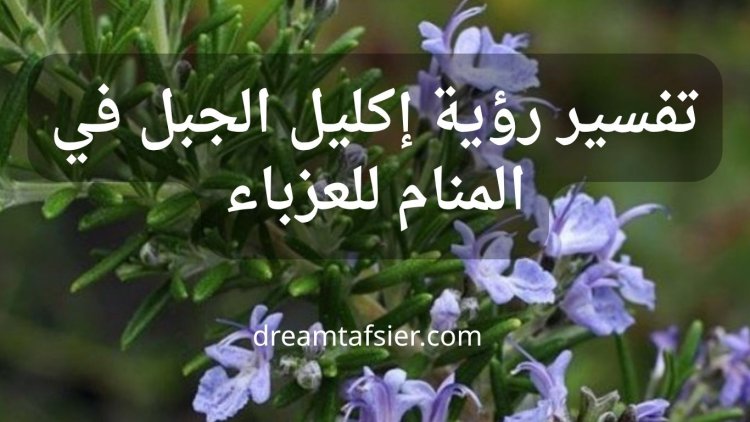 تفسير رؤية إكليل الجبل(الروزماري) في المنام للعزباء