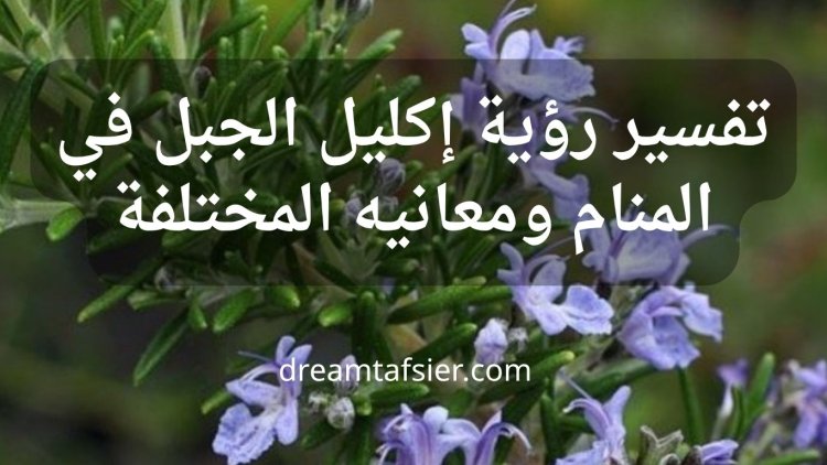 تفسير رؤية إكليل الجبل(الروزماري) في المنام ومعانيه المختلفة
