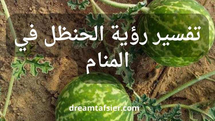 تفسير رؤية الحنظل في المنام لابن سيرين والنابلسي