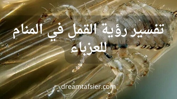 رؤية القمل في المنام للعزباء: التفسير الكامل والدلالات النفسية والاجتماعية