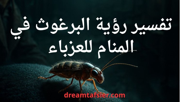 تفسير رؤية البرغوث في المنام للعزباء