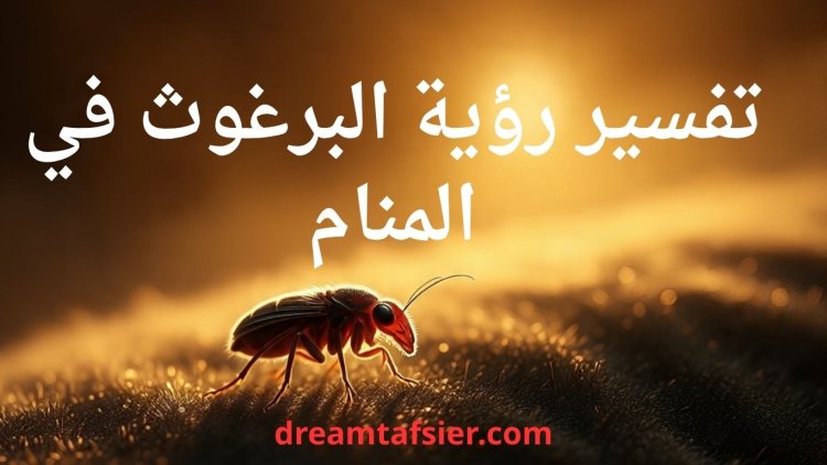 تفسير رؤية البرغوث في المنام بالتفصيل