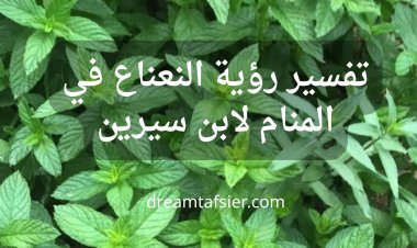 تفسير رؤية النعناع في المنام لابن سيرين