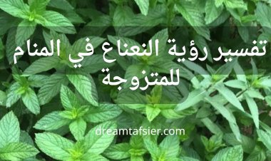 تفسير رؤية النعناع في المنام للمتزوجة والحامل