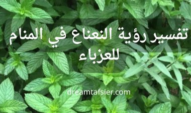 تفسير رؤية النعناع في المنام للعزباء